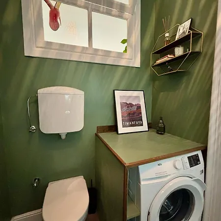 公寓 Designer Loft - Urban Jungle - Historic Building